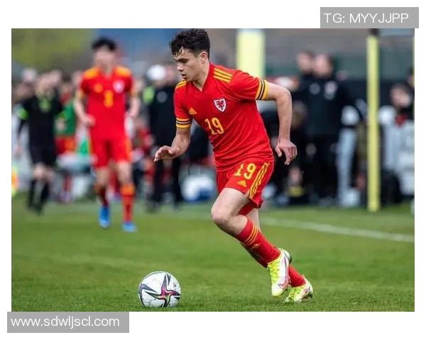 曼联与卡迪夫精彩对决集锦回顾赛场瞬间尽在眼前