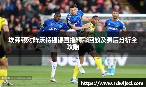 埃弗顿对阵沃特福德直播精彩回放及赛后分析全攻略
